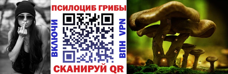 цена наркотик  Неман  Псилоцибиновые грибы Psilocybe 